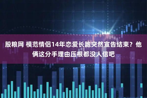 股粮网 模范情侣14年恋爱长跑突然宣告结束？他俩这分手理由压根都没人信吧