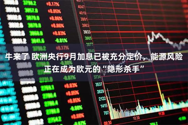 牛来了 欧洲央行9月加息已被充分定价，能源风险正在成为欧元的“隐形杀手”