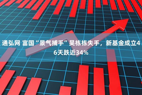 通弘网 富国“景气捕手”吴栋栋失手，新基金成立46天跌近34%