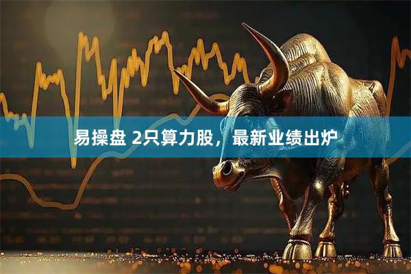 易操盘 2只算力股，最新业绩出炉
